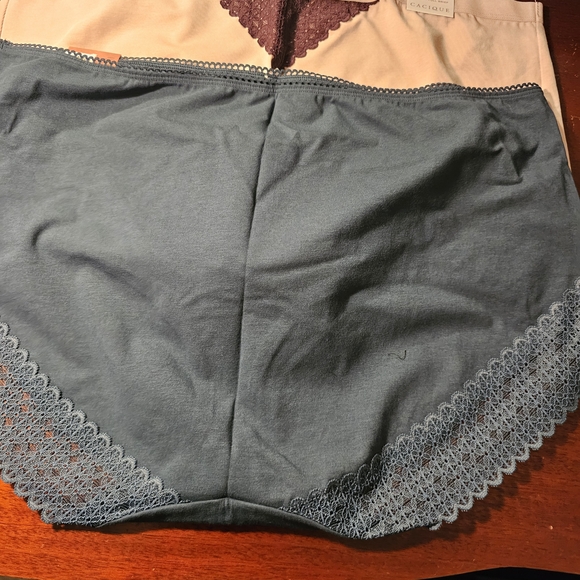 Cacique Women's Full Briefs Assorted Colors 18/20 - Picture 4 of 7